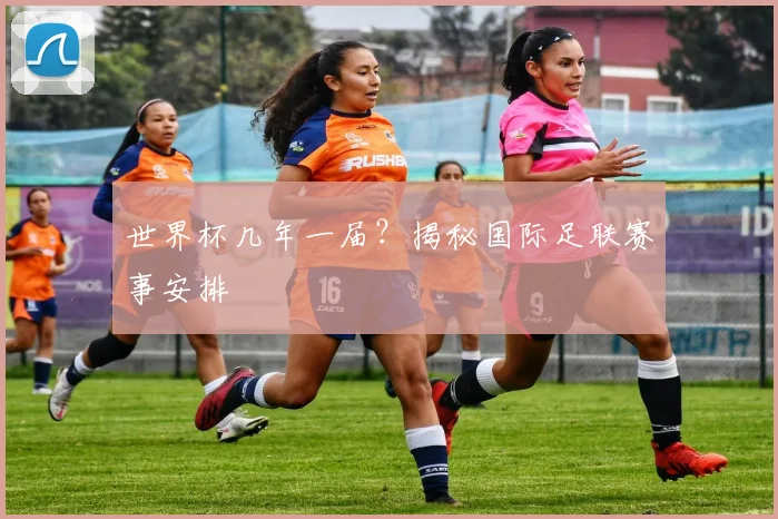 世界杯几年一届？揭秘国际足联赛事安排