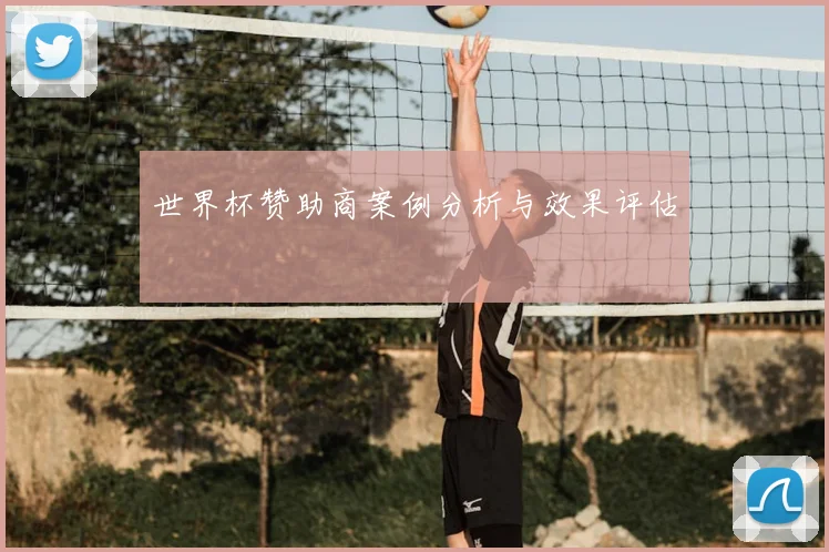世界杯赞助商案例分析与效果评估
